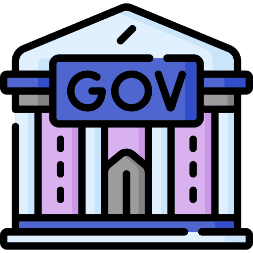 Government Subsidies