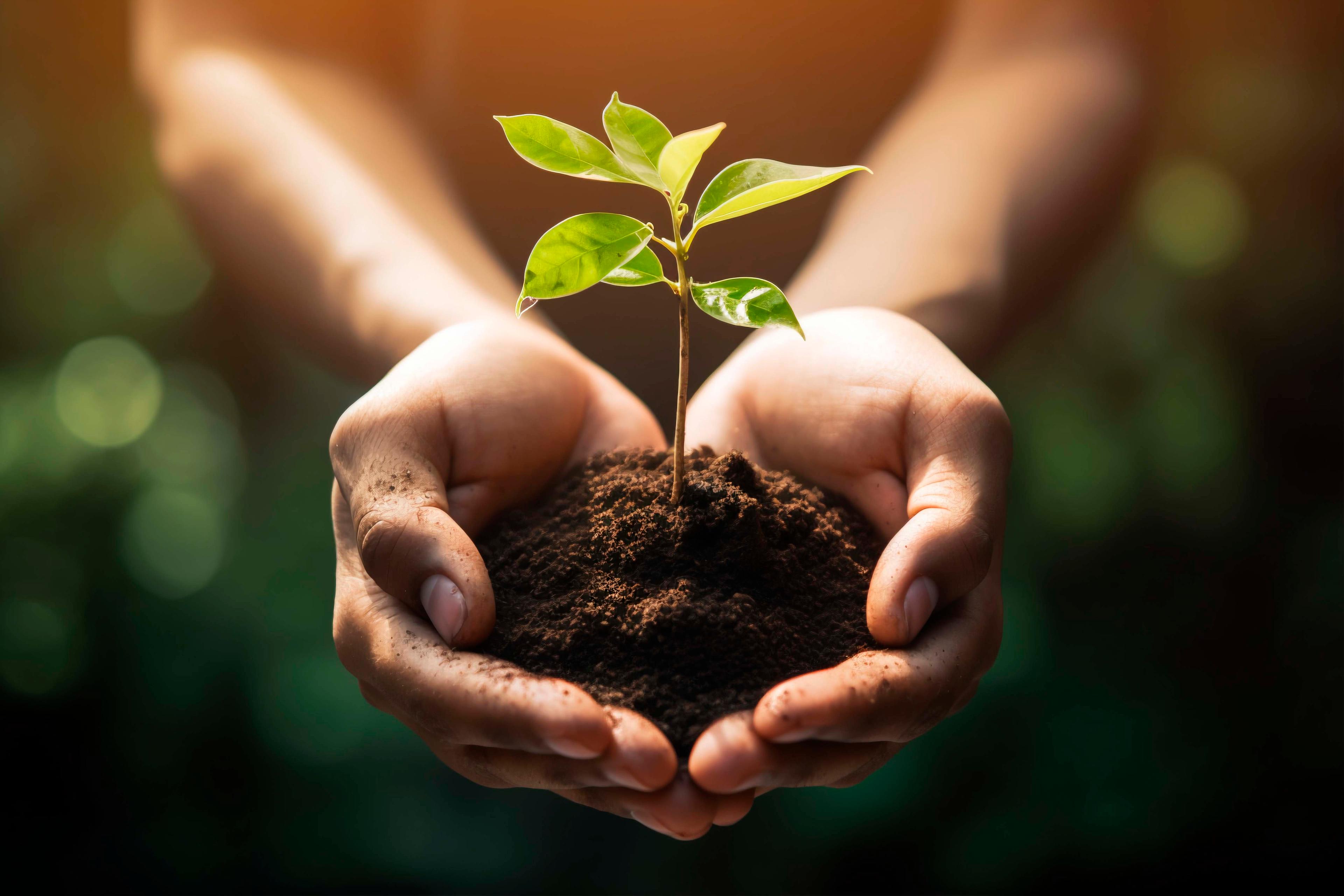 Embrace the Future, Go Green with Dodheshwar Biofuels